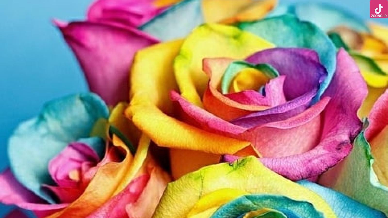 دانلود آهنگ دلکش گمراه / لاله چون سوخت از غم وخنده دل ما خون دل خوردن باشد عادت ما