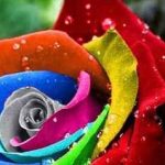 دانلود آهنگ گوگوش باور کن صدام و باور کن صدایی که تلخ و خسته است