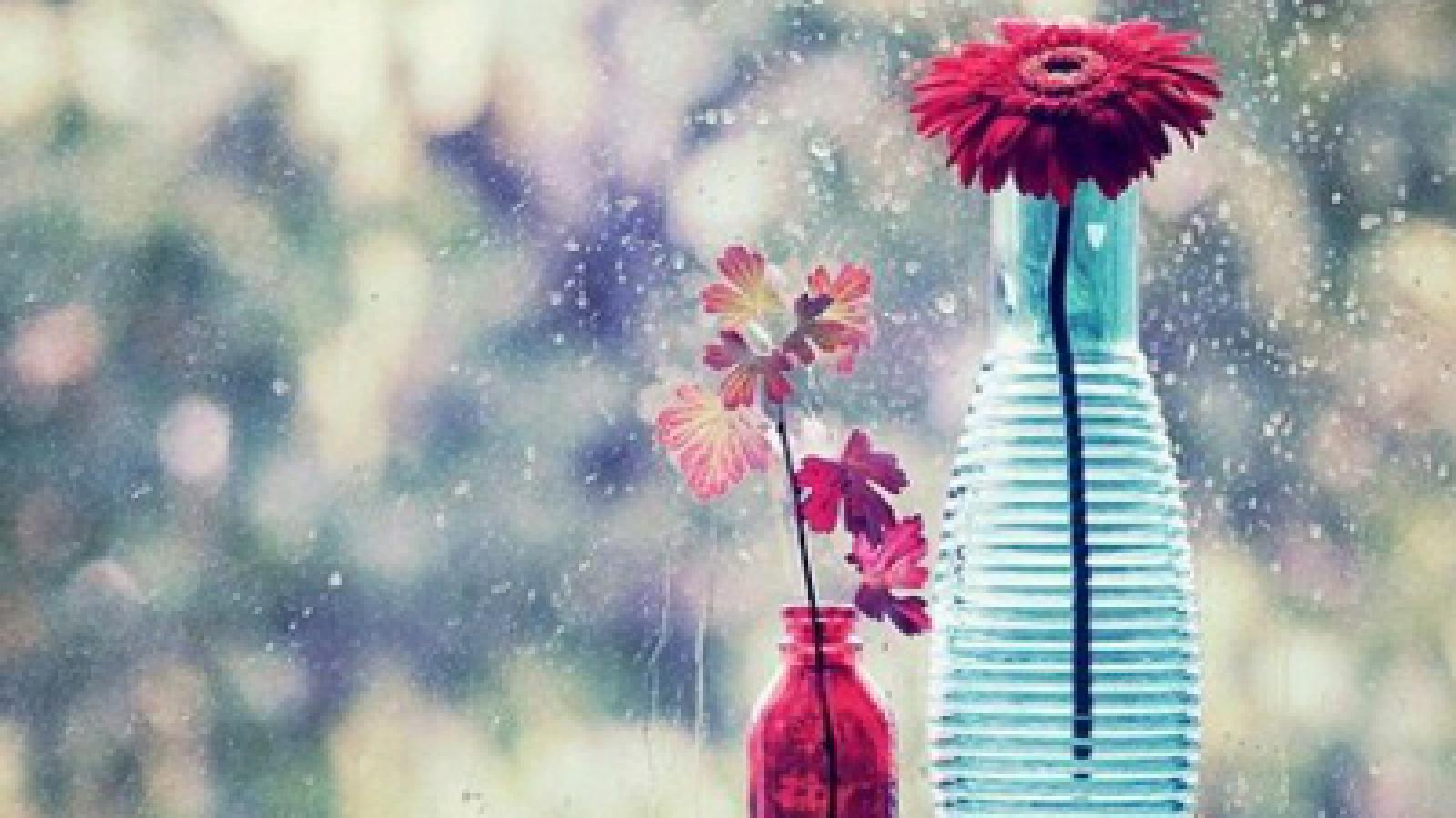 آهنگ مهستی طاقت / من هنوز چیزی نگفتم که تو طاقتت تمام شد