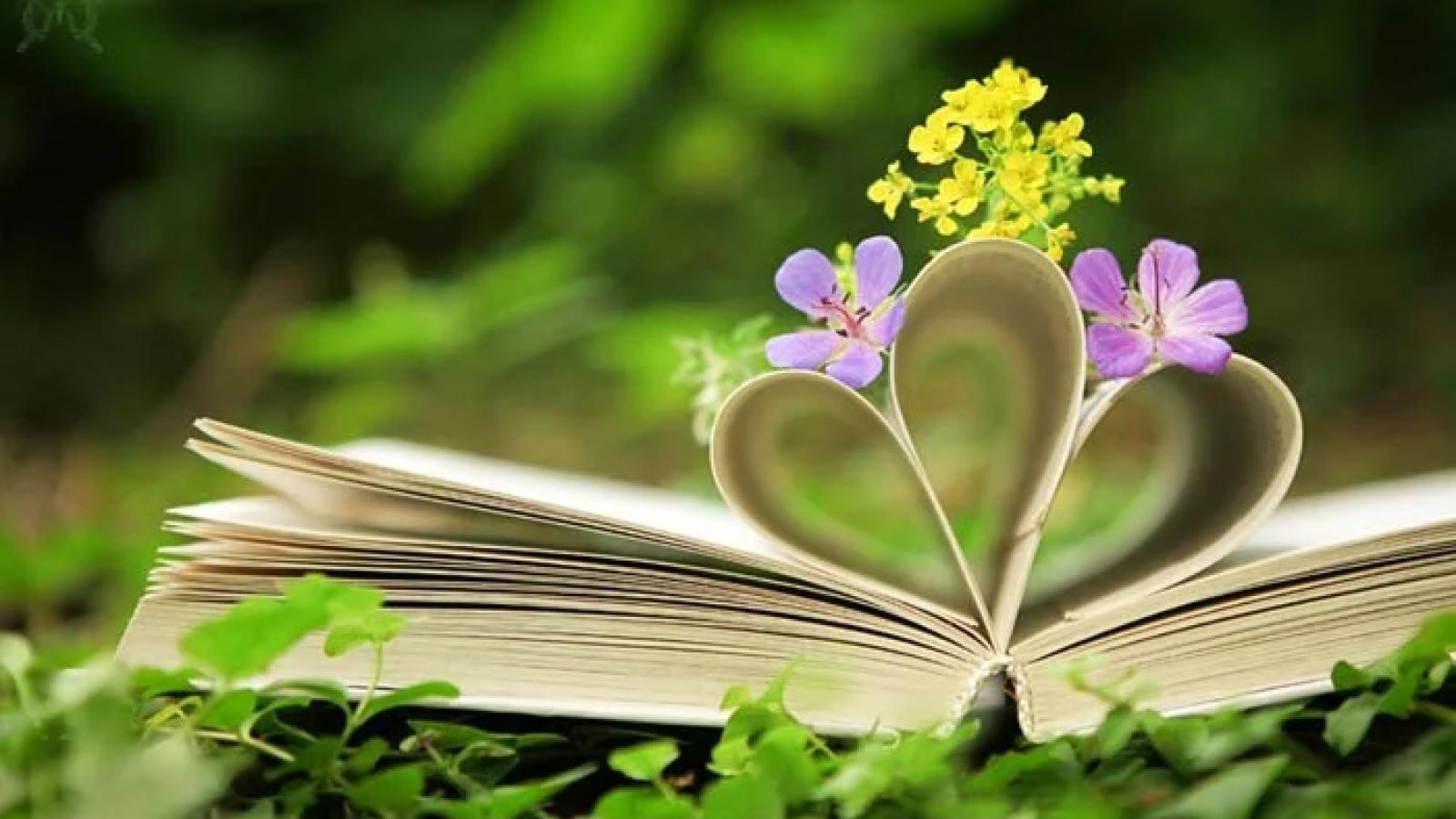 دانلود آهنگ هایده بهار زندگی / در بهار زندگی احساس پیری میکنم