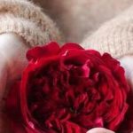 دانلود آهنگ مهستی گله دارم / قسم به اون نگاه عاشقونت میگیره این دلم هنوز بهونه ات