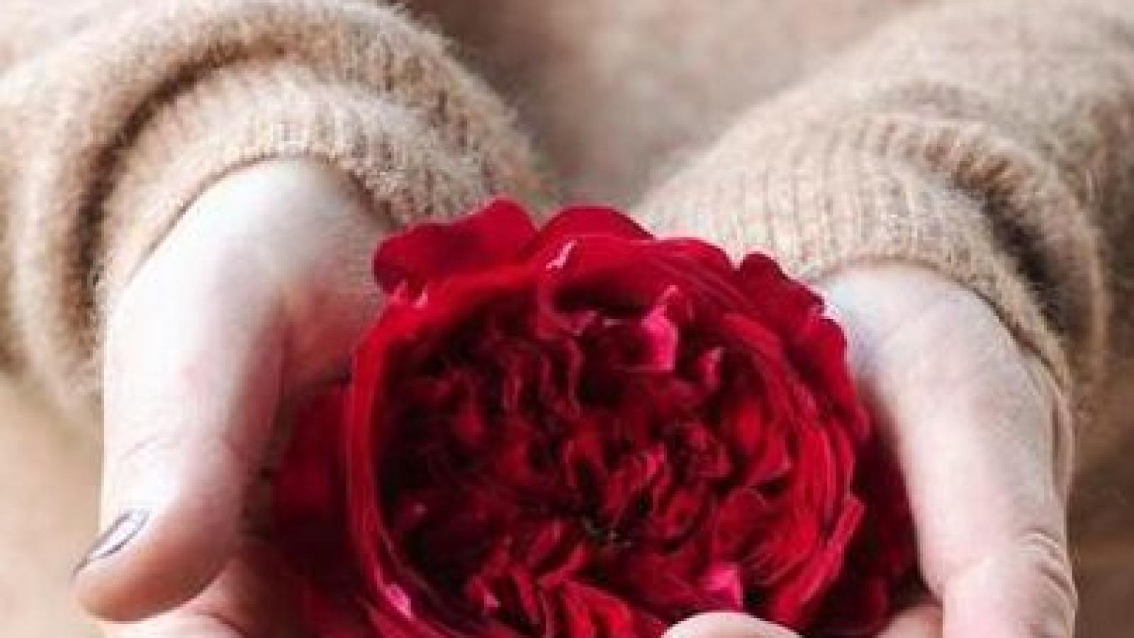 دانلود آهنگ مهستی گله دارم / قسم به اون نگاه عاشقونت میگیره این دلم هنوز بهونه ات