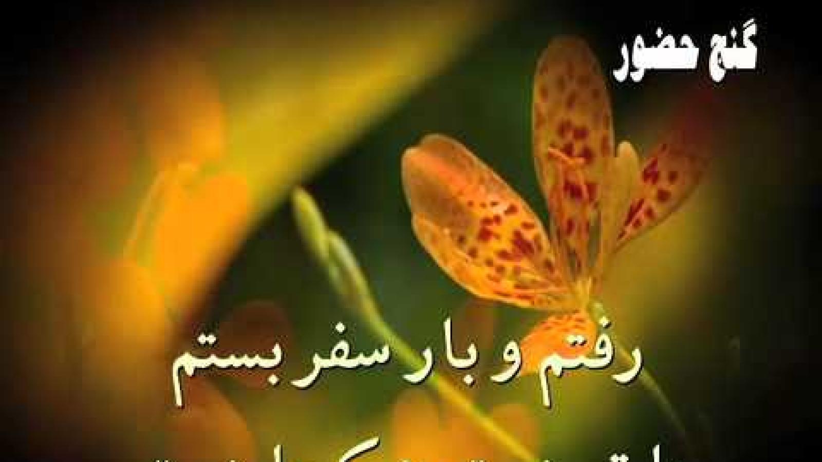 دانلود آهنگ هایده رفتم رفتمو بار سفر بستم با تو هستم هر کجا هستم