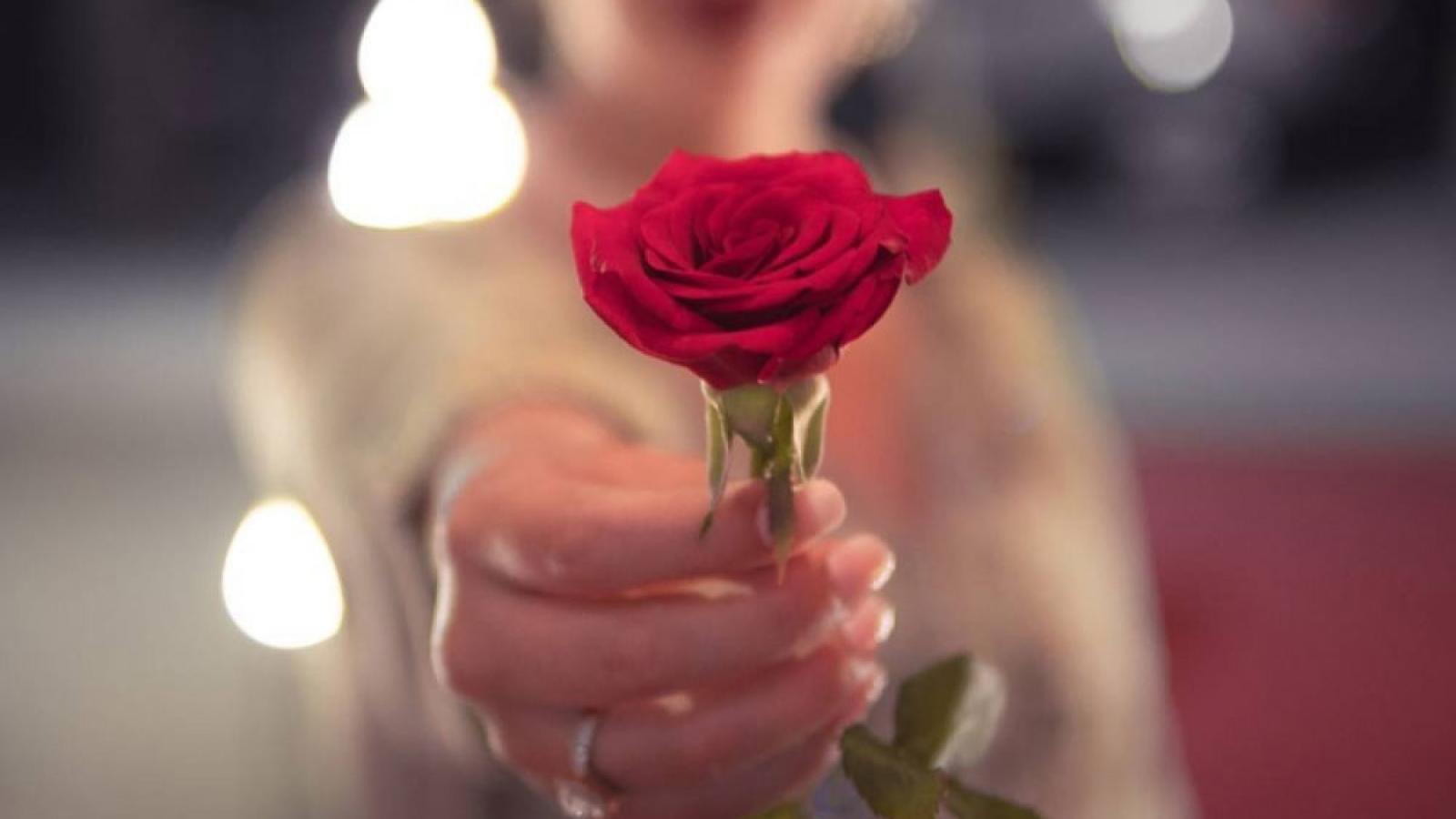 دانلود آهنگ مهستی باز بگو / روح آشفته من اینجوری آروم میگیره تو گوشم دوستت دارم رو صدهزار بار بگو