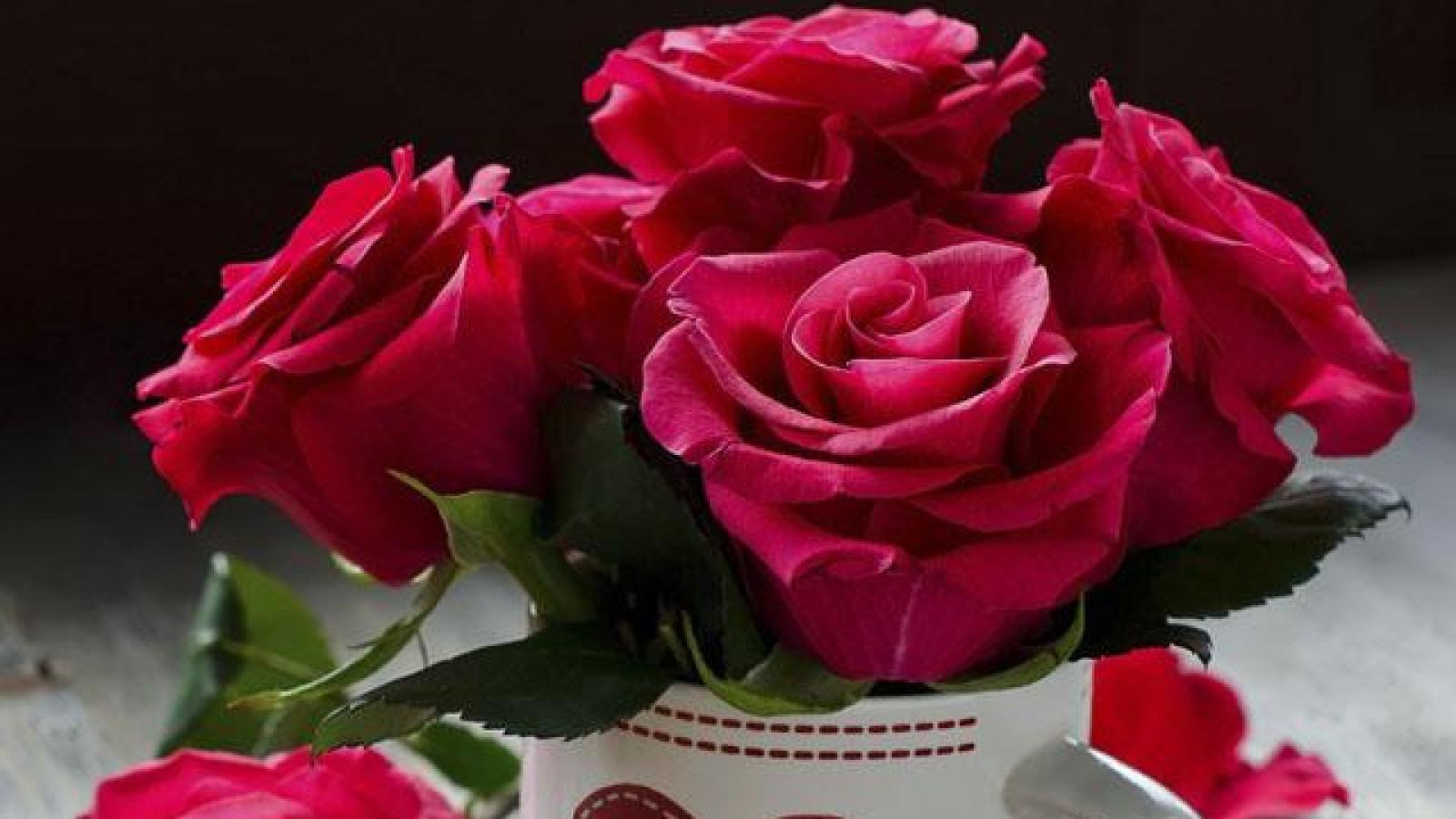 دانلود آهنگ مهستی سحر دختر نازم تویی غنچه ی بازم