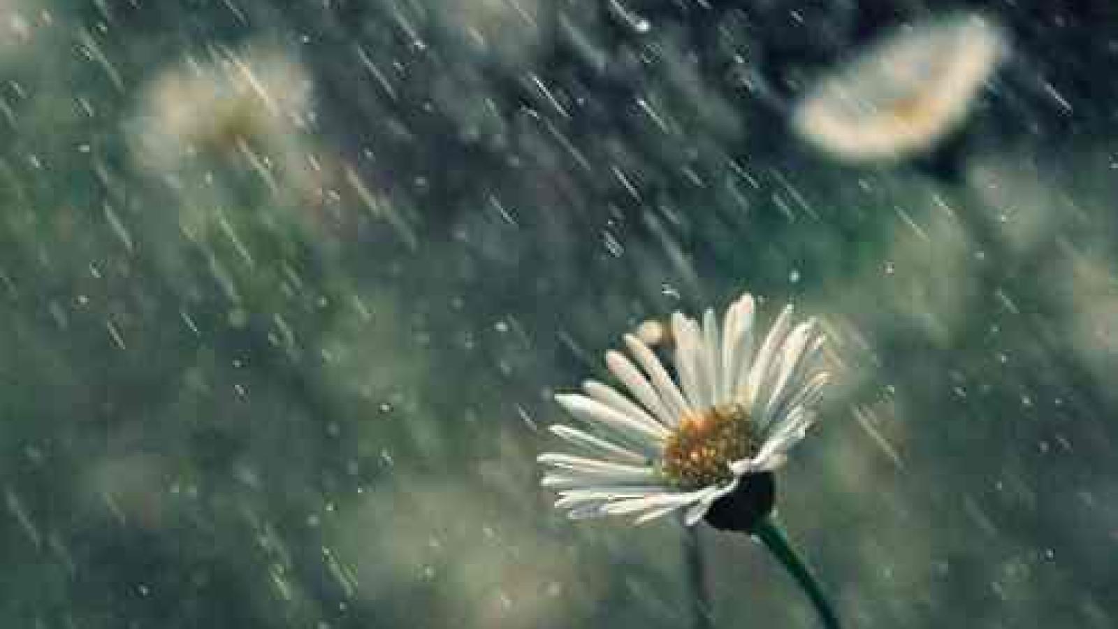 دانلود آهنگ مهستی تقصیر توست اگه مثل ديوونه هام