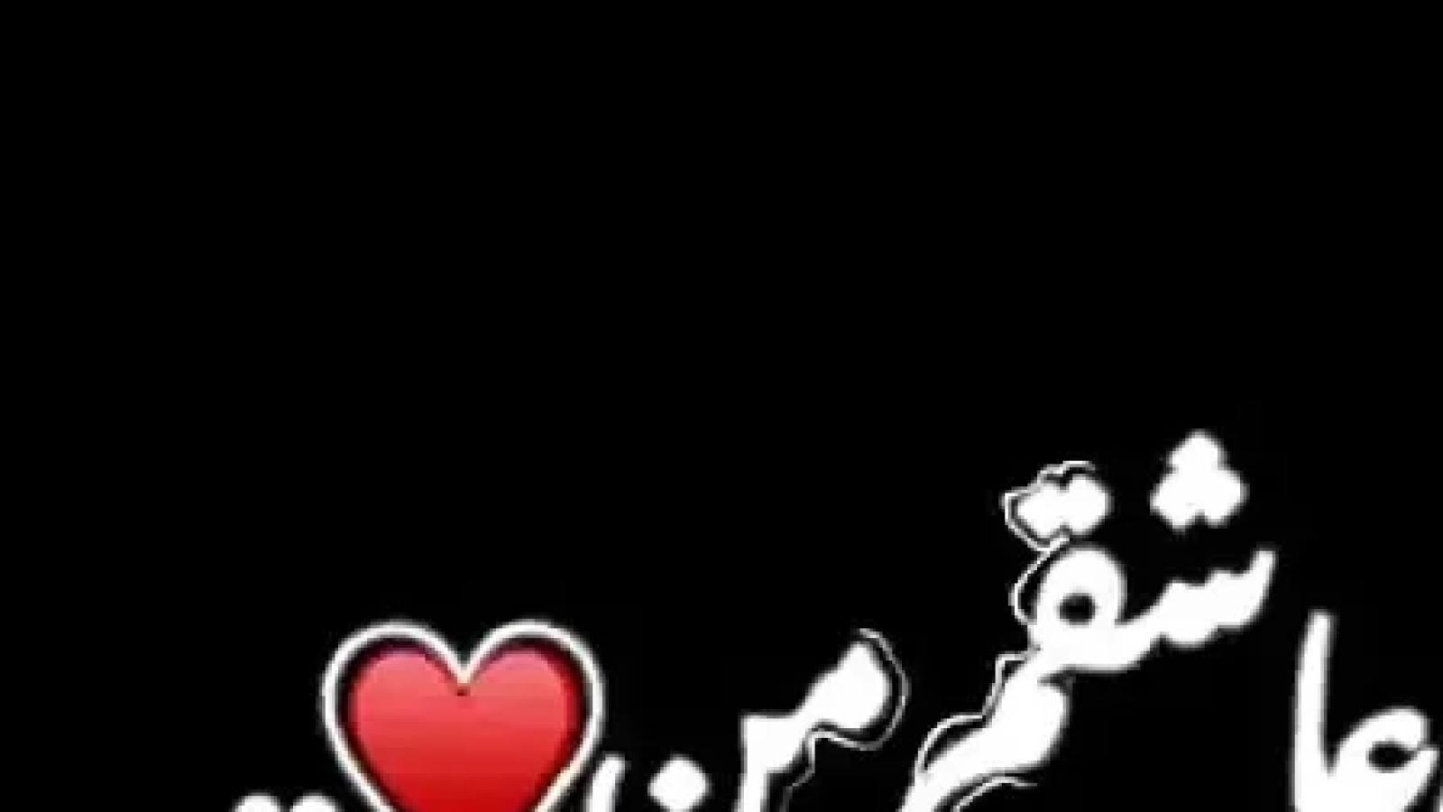 دانلود آهنگ حمیرا عاشقم من / عاشقم ، عاشق ترم کن بسوزون خاکسترم کن