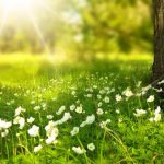 دانلود آهنگ حمیرا بار دگر صبرم عطا کن / ای خدا تقدیر ما را گر نوشتی این چنین