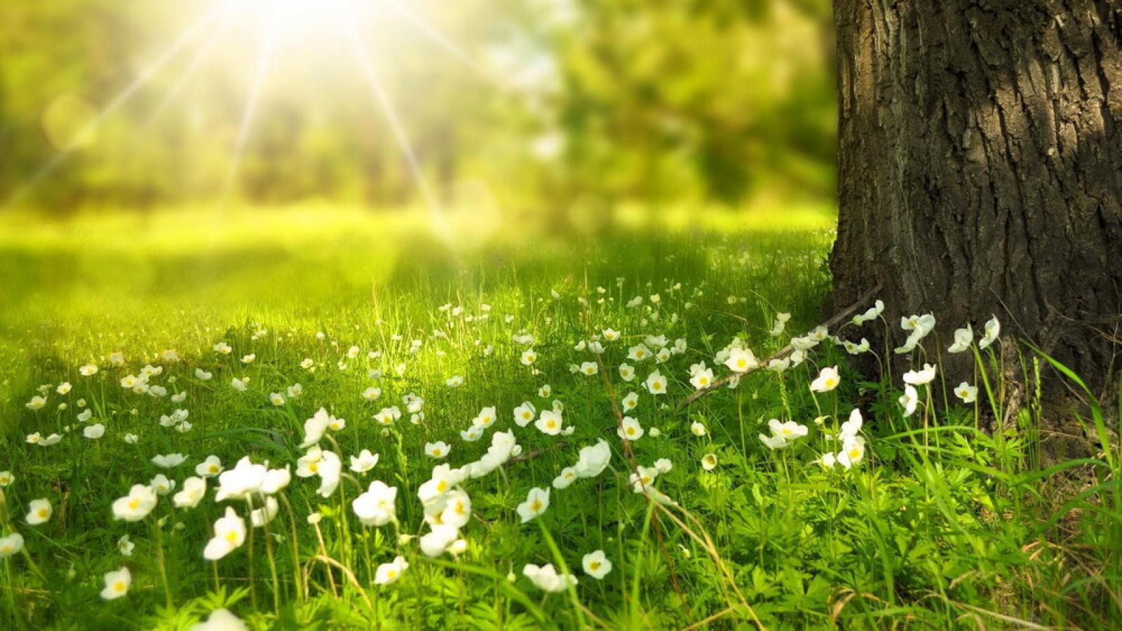 دانلود آهنگ حمیرا بار دگر صبرم عطا کن / ای خدا تقدیر ما را گر نوشتی این چنین