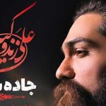 دانلود آهنگ علی زند وکیلی جاده شب / رفتی از دنیای خاموشم صدایت را گرفتم ….