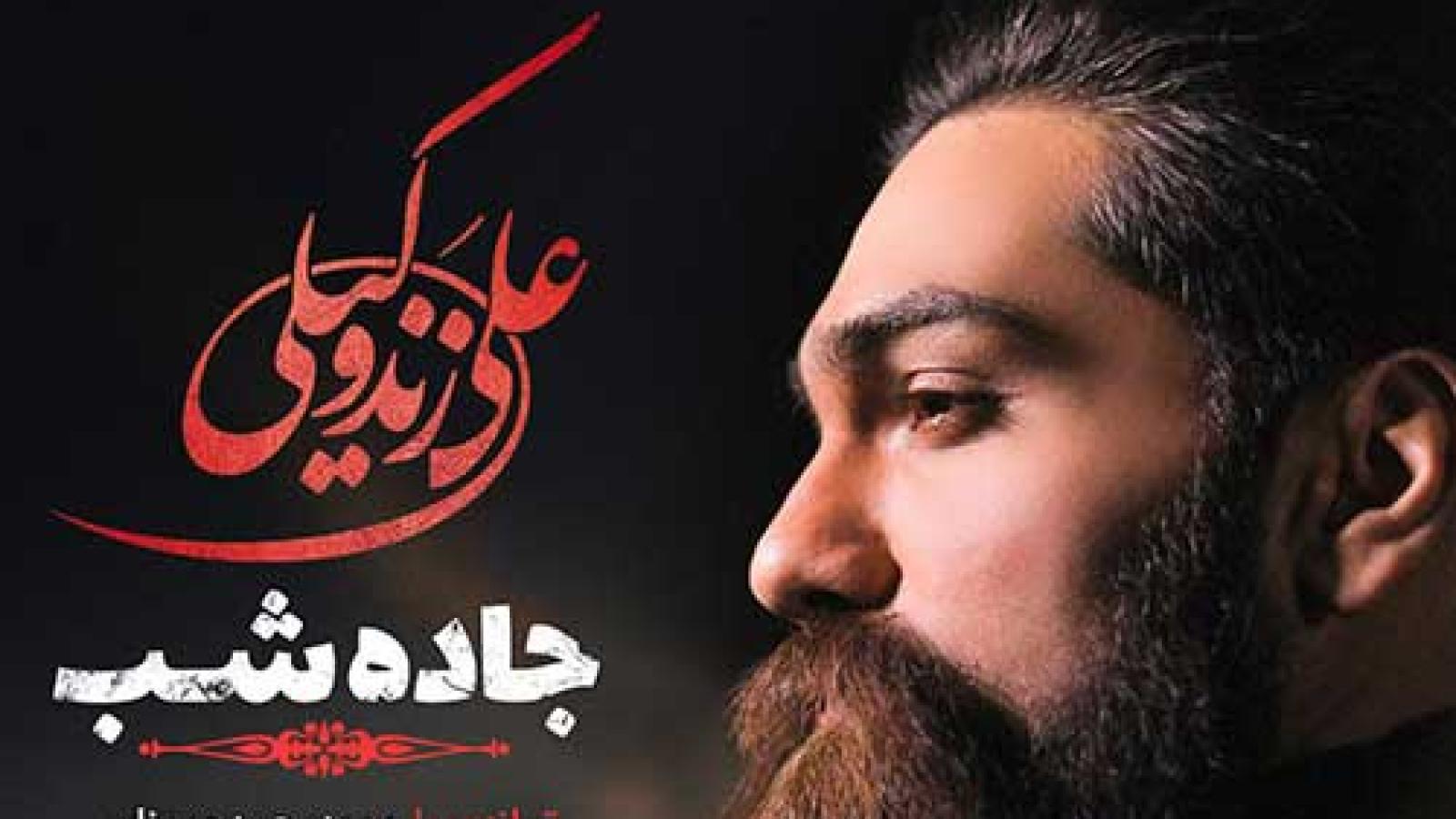 دانلود آهنگ علی زند وکیلی جاده شب / رفتی از دنیای خاموشم صدایت را گرفتم ....