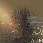 دانلود آهنگ علیرضا قربانی بی گناه / تو خنده ی دوری در یاد تو قاصدکی دور از باد ….