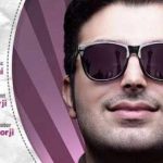 دانلود آهنگ علیرضا طلیسچی دوست دارم / دور میشی اما نه با بی رحمی …