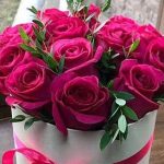  دانلود آهنگ باران عادت / باید عادت کنم وقت نبودت