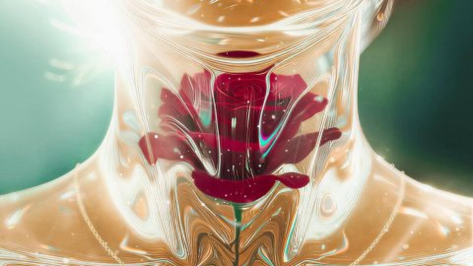 دانلود آهنگ بردیا نور {تو مثه یه شاخه نوری تو مث یه شعر زیبا}