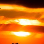 دانلود آهنگ بهزاد لیتو خاک / با پخش آنلاین و کیفیت اصلی