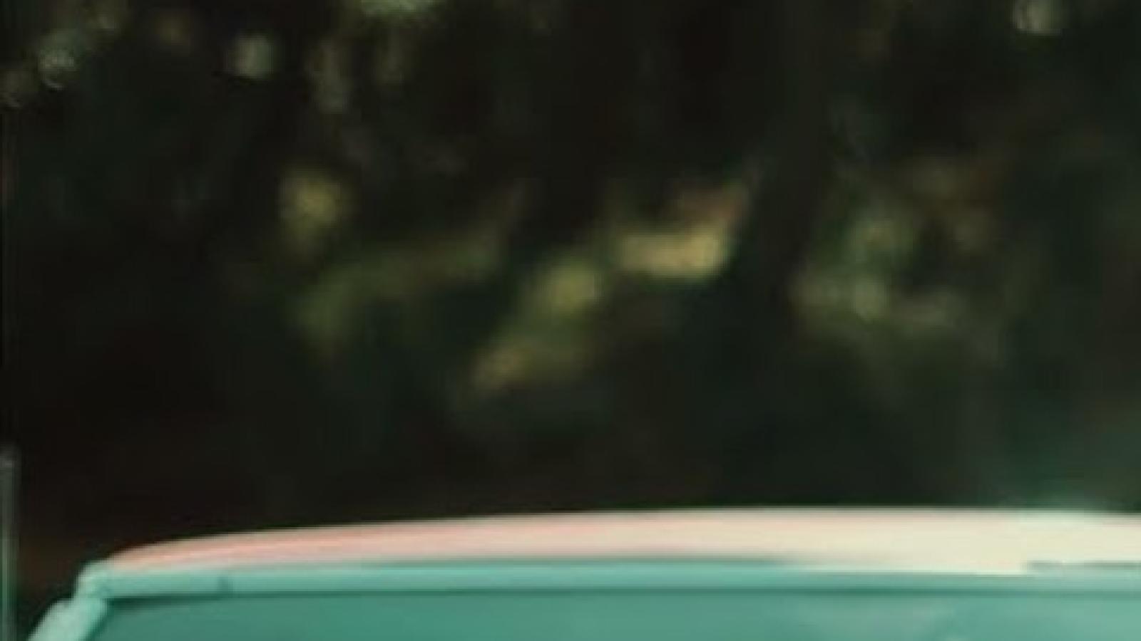 دانلود آهنگ دمت الو گچمیشه گومدوم آجیلارمی