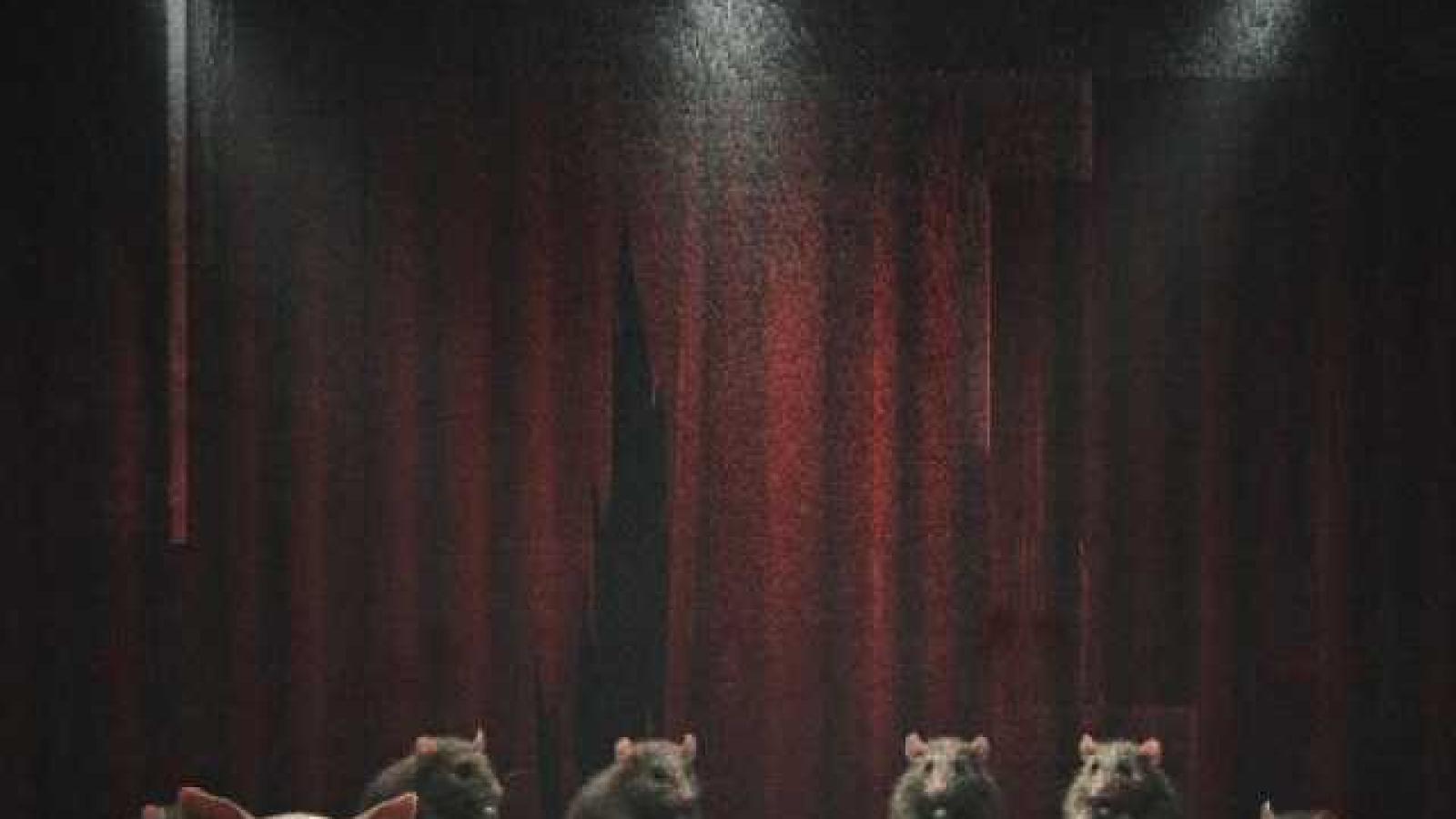 دانلود آهنگ دانیال چکی 2