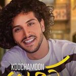 دانلود آهنگ احسان دریادل کوچمون / یه جوری میای میری انگاری که دیرته …