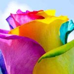 دانلود آهنگ الهه رفتم / بیا جانم به قربانت بیا