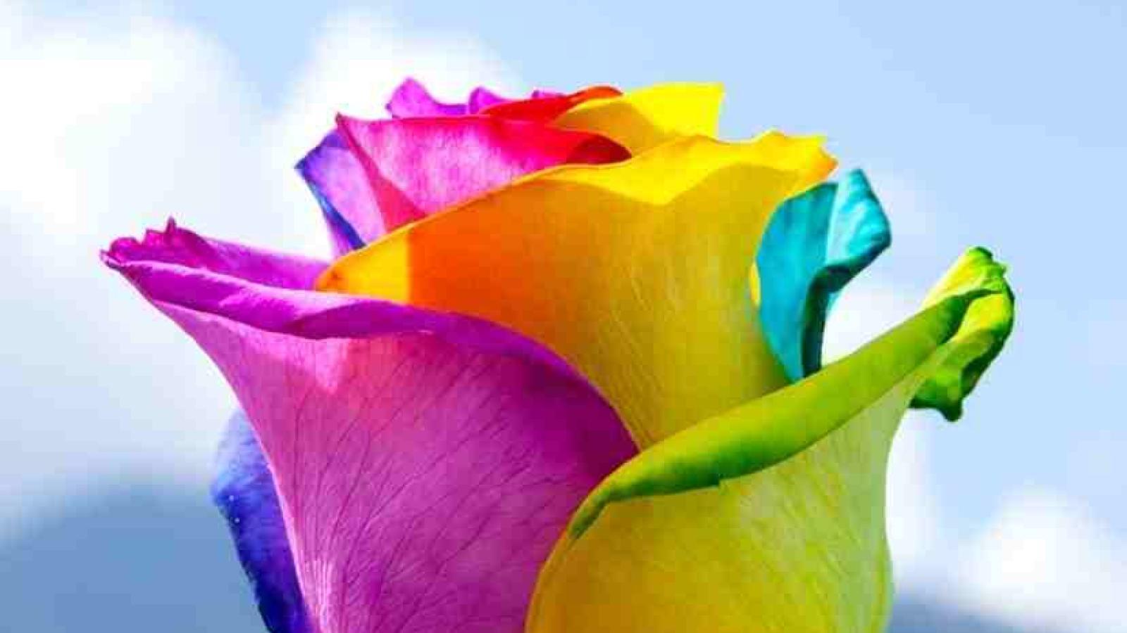 دانلود آهنگ الهه رفتم / بیا جانم به قربانت بیا