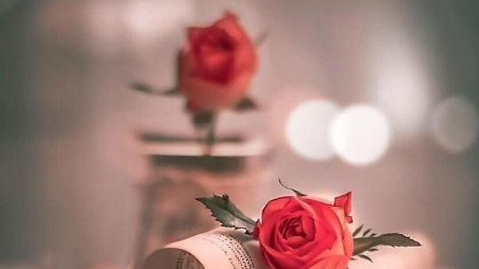 دانلود آهنگ گوگوش زندگی / بهم میگن فراموشت کنم امّا نمیشه