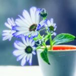 دانلود آهنگ هایده به یارم بگید / آشفته در خانه خانه ی ویرانه …