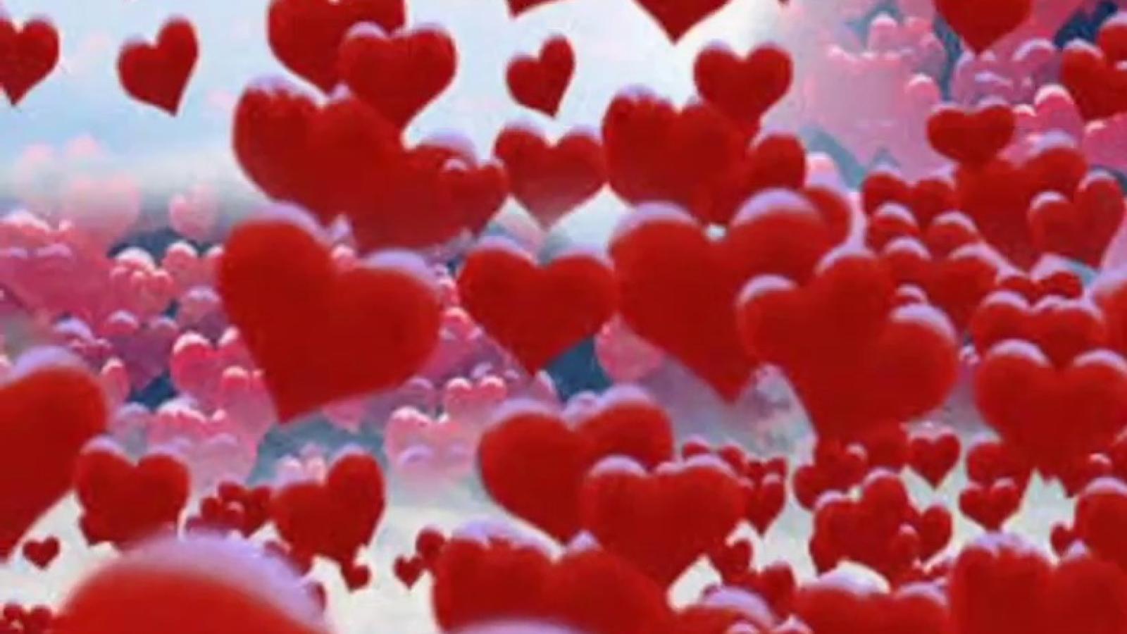 دانلود آهنگ هایده قلبم ﮔﺮﻓﺖ ﺍﯼ ﻧﺎﺯﻧﯿﻦ ﻧﻔﺲ ﺩﯾﮕﻪ ﻧﻔﺲ ﻧﯿﺴﺖ