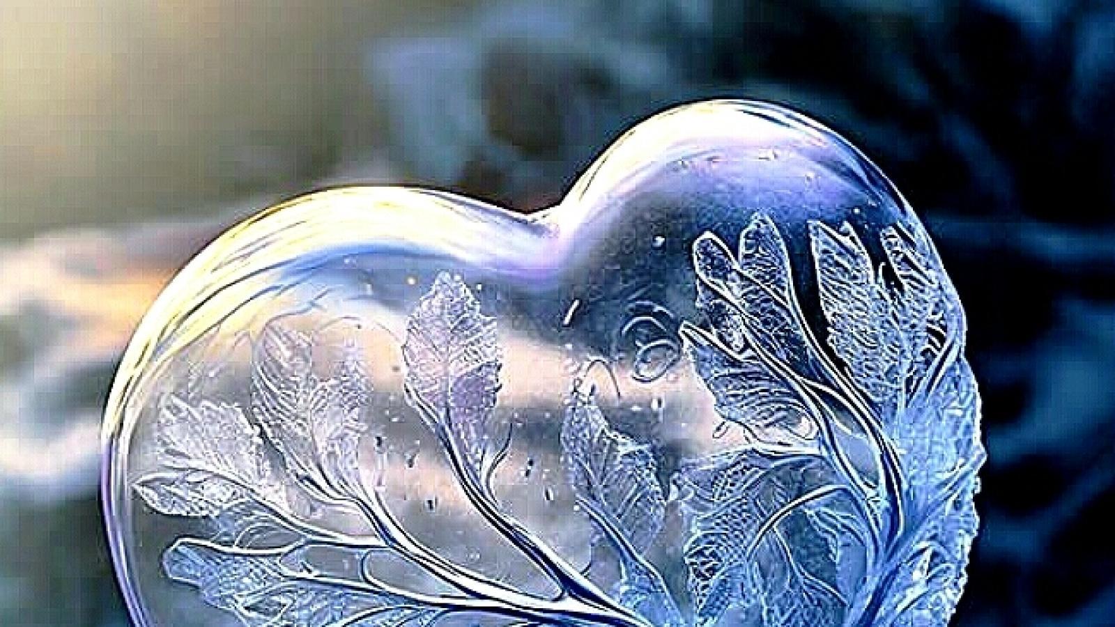 دانلود آهنگ هنگامه دلسرد / هر زخمی تو دنیاست دیدی که من خوردم