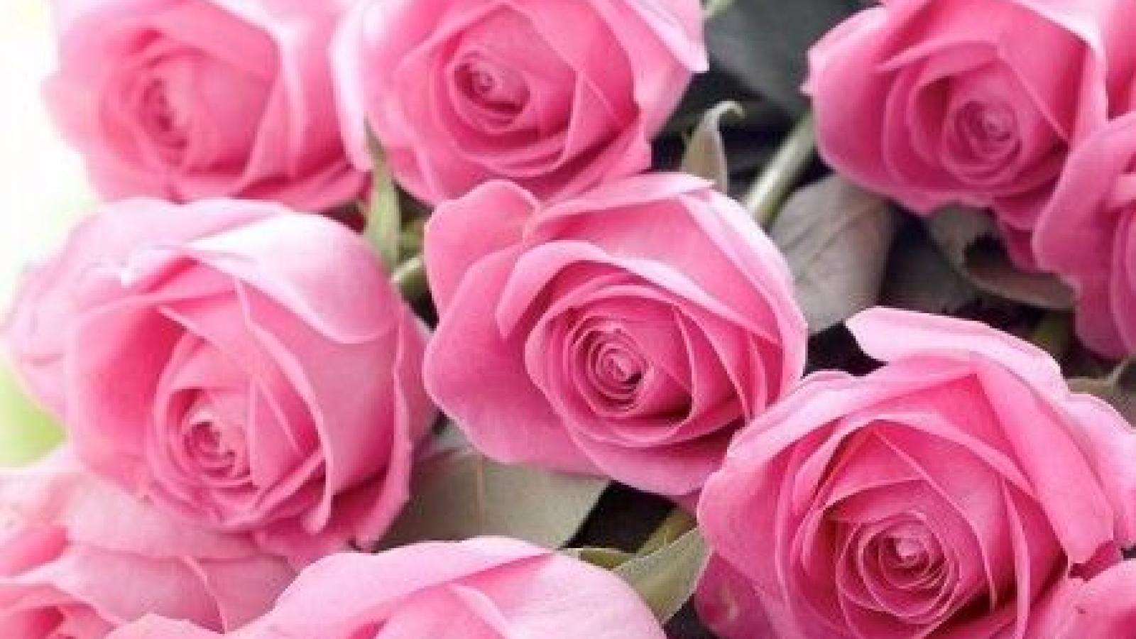 دانلود آهنگ هنگامه عشق خالص / سخته برام نبودنت کی می شه وقت دیدنت