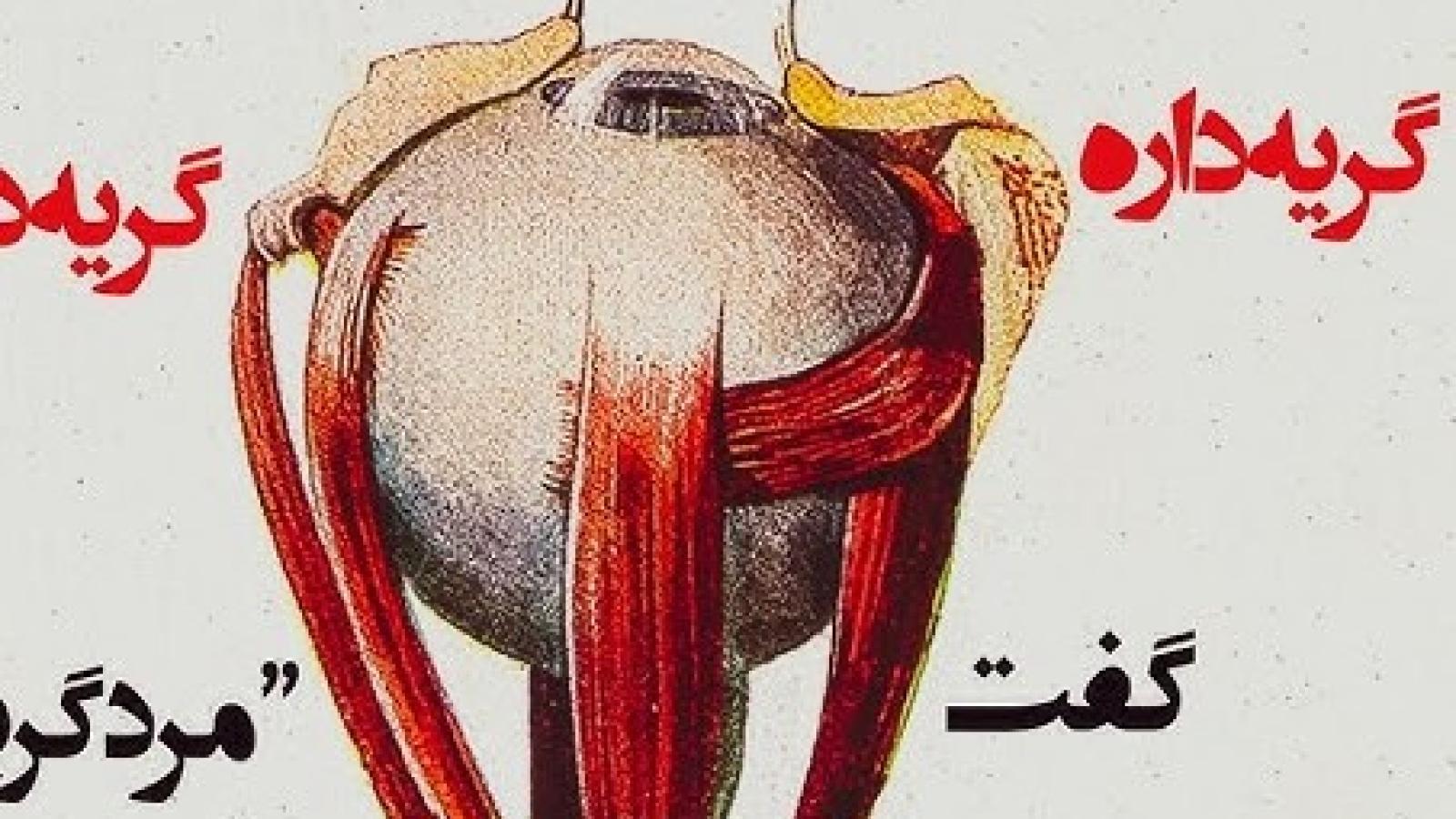 دانلود آهنگ هیچکس گریه داره گفت مرد گریه نمیکنه گریه داره گریه داره گریه داره دیوار حاشا بلنده تکیه داده