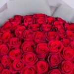 دانلود آهنگ مهستی همه رو جواب کردم