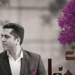 دانلود آهنگ مانی رهنما سپیدار (ترکت کنم بگیره گریت کز کنار دیوار بشکنی اما نترسی از سقوط یک سپیدار)