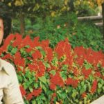 دانلود آهنگ مازیار باغچه  رو آب میدم و پنهونی گریه می کنم با غم موسیقی ایرونی گریه می کنم