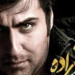 دانلود آهنگ محمد علیزاده حالمو زیبا کن / جاده تحویل بهاره حالمو زیبا کن روی دنیای منو به روی عشقت وا کن