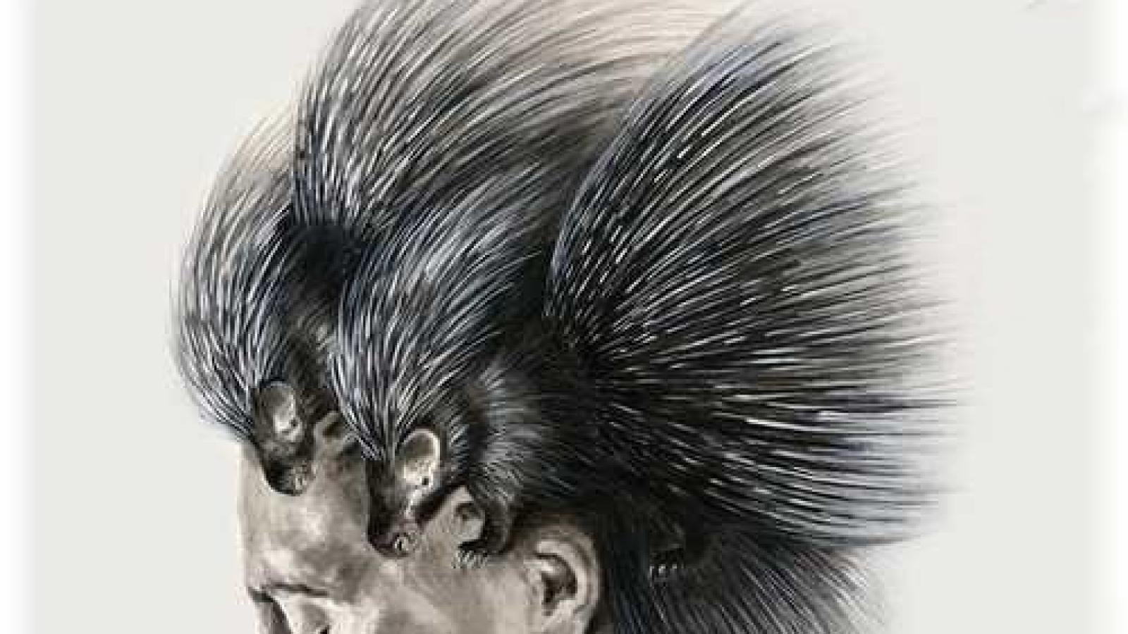 دانلود آهنگ محسن نامجو دردا (اجرای زنده)