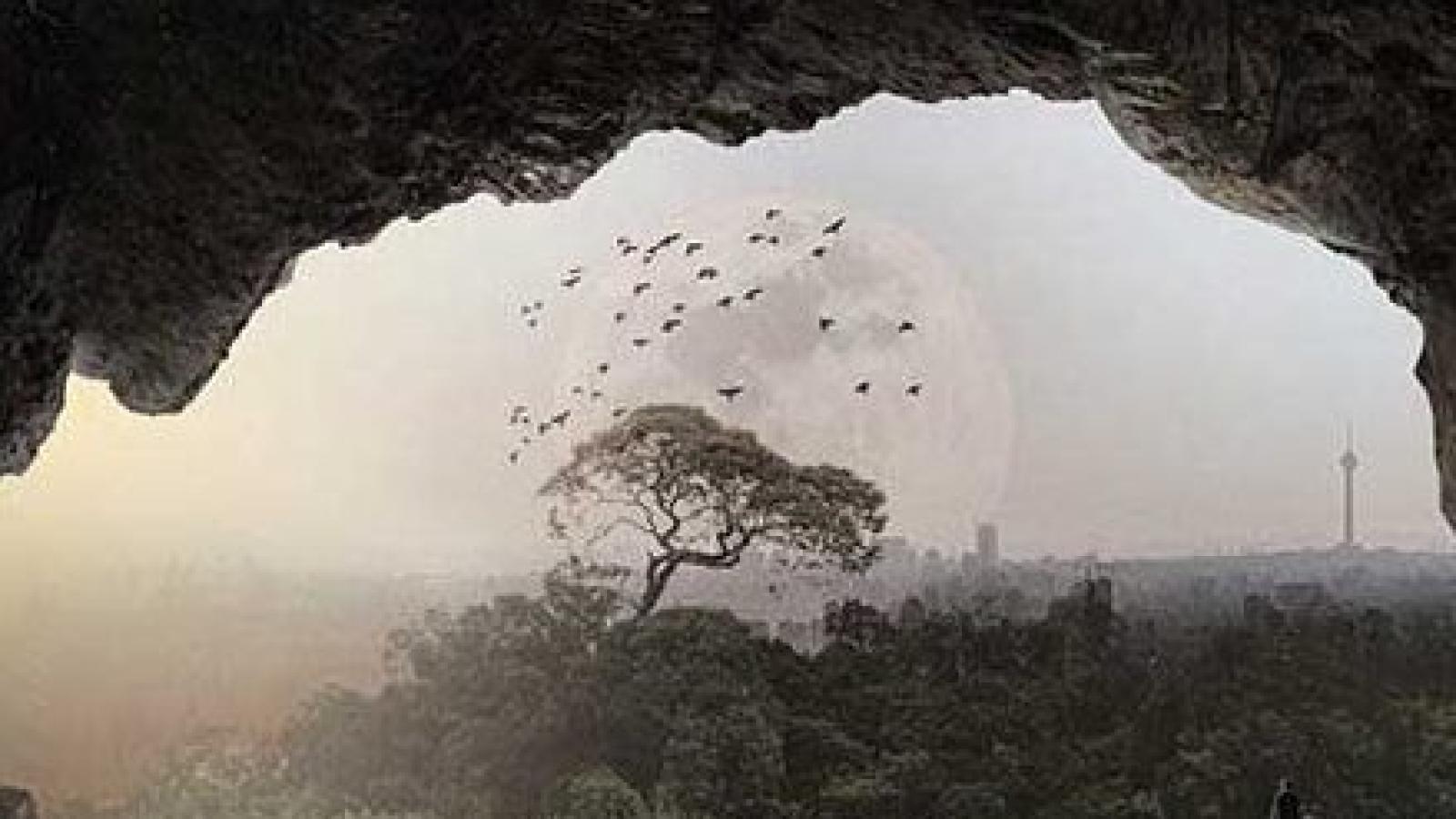 دانلود آهنگ محسن یگانه دردندشت / زنده زدم بیرون از این ویرونه ...