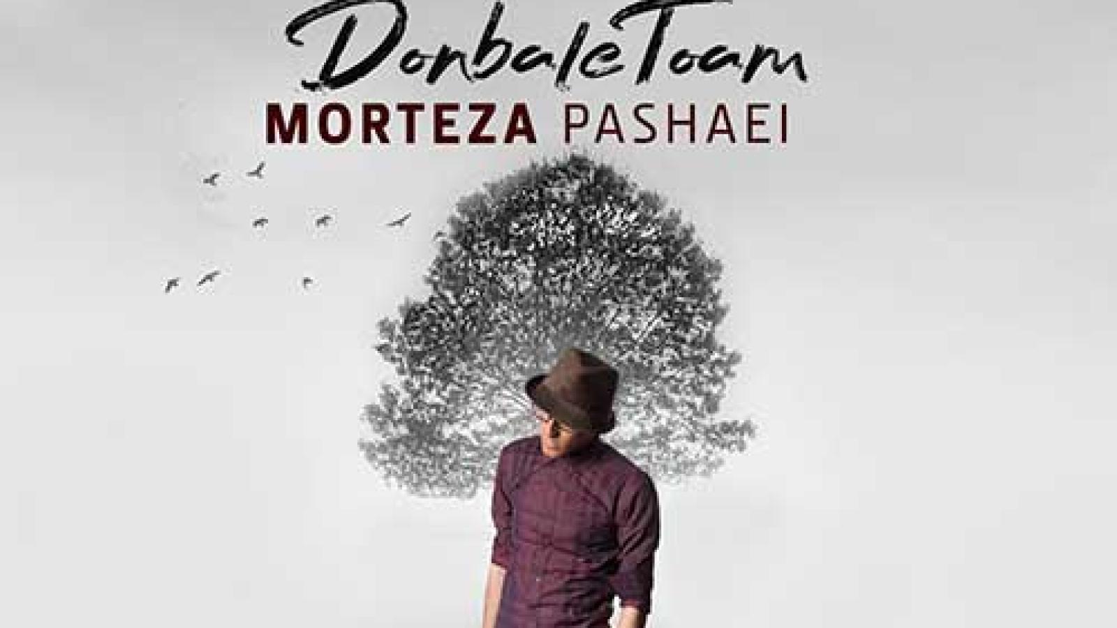 دانلود آهنگ مرتضی پاشایی دنبال توام / تنها مسافر توی جاده دیگه شبیه من نیست