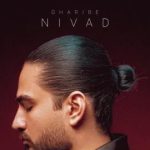 دانلود آهنگ نیواد غریبه آی غریبه برو این رابطه از سرم پریده پریده