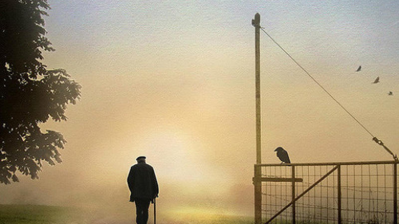 دانلود آهنگ نوش آفرین مسافر / دارم میام دارم میام به خونه مون به دیدن مردمه مهربونمون