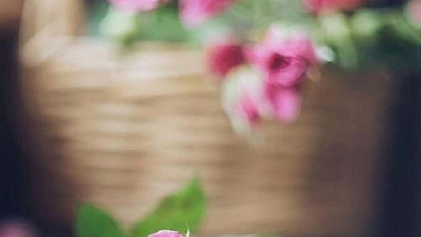 دانلود آهنگ نوش آفرین فرصت / بی تو شاعر بی غزل شد بی تو هر شعری دغل شد