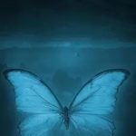 دانلود آهنگ رضا پیشرو آبی