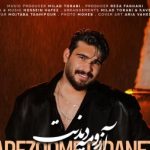 دانلود آهنگ ریوان آرزومه دیدنت دیدنت زیر بارون رقصیدنت کت مشکی به تنم شال سفید رو سرت