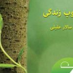 دانلود آهنگ سالار عقیلی حس خوب زندگی (بیداره بیدارم ولی در عمق رویایی شدن با کوه راهی میشم تا اوج دریایی شدن)