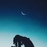 دانلود آهنگ شهره شبت بخیر قشنگترین بهانه، شبت بخیر، رویای عاشقونه