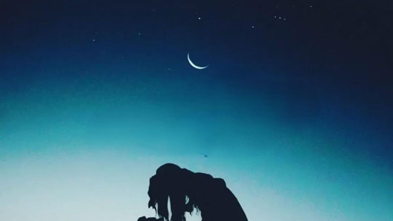 دانلود آهنگ شهره شبت بخیر قشنگترین بهانه، شبت بخیر، رویای عاشقونه