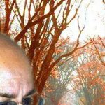 دانلود آهنگ سیاوش قمیشی پاییز چشم تو وقتی بباره ، وقتی که ببینم این بارونه