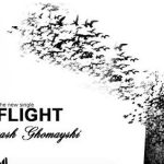 دانلود آهنگ سیاوش قمیشی پرواز / من و تو دو تا پرنده تو قفس زندونی بودیم