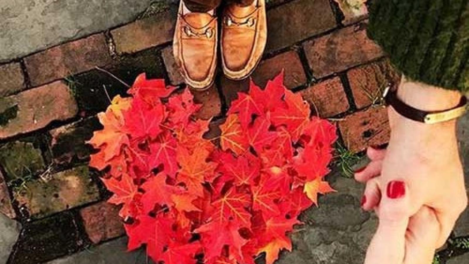 دانلود آهنگ سیمین غانم ای ساقی