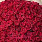 دانلود آهنگ سوگند داد نزن سرم من از تو داغون ترم اگه میرم از اینجا میرم یه جا که آروم ترم